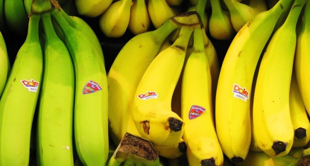 Es rico en vitaminas del grupo B y en minerales como magnesio, hierro y fósforo. Todos estos nutrientes ayudan a combatir la fatiga, el cansancio y la anemia.