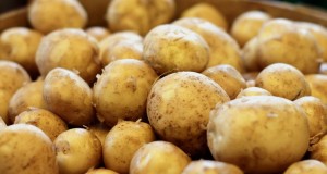 La papa tiene cantidades significativas de vitamina C, y aportar antioxidantes que ayudan a reparar el cuerpo.
