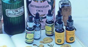Las plantas disponen de activos beneficiosos para la salud y las tinturas son una forma sencilla de aprovecharlos