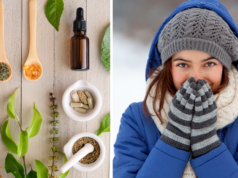 Inmunidad: 5 plantas destacadas para pasar el invierno