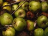 Factores como la temperatura, la humedad, la luz o el oxígeno alteran los alimentos.
