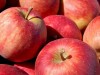 La sabiduría popular siempre le ha atribuido a la manzana virtudes benéficas para la salud.