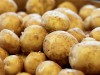 La papa tiene cantidades significativas de vitamina C, y aportar antioxidantes que ayudan a reparar el cuerpo.