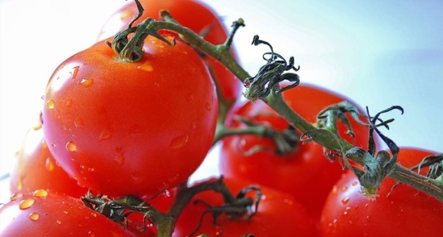 Los tomates contienen licopeno, un carotenoide que les aporta su color rojo característico.