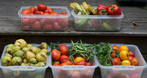 Aprender a utilizar los alimentos a favor de nuestra salud es un recurso vital para prevenir y combatir enfermedades
