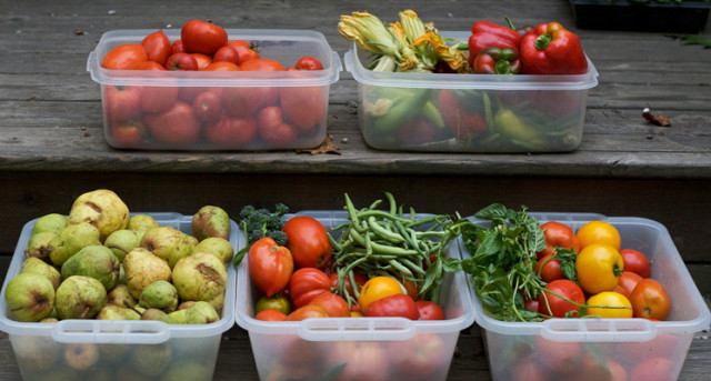 Cómo prevenir el cáncer con una dieta antioxidante Aprender a utilizar los alimentos a favor de nuestra salud es un recurso vital para prevenir y combatir enfermedades