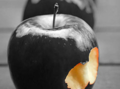 ¿Metales pesados en los alimentos? Contaminación silenciosa
