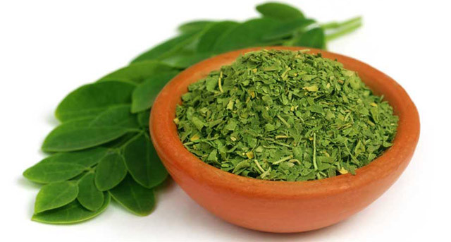 moringa-nutriente