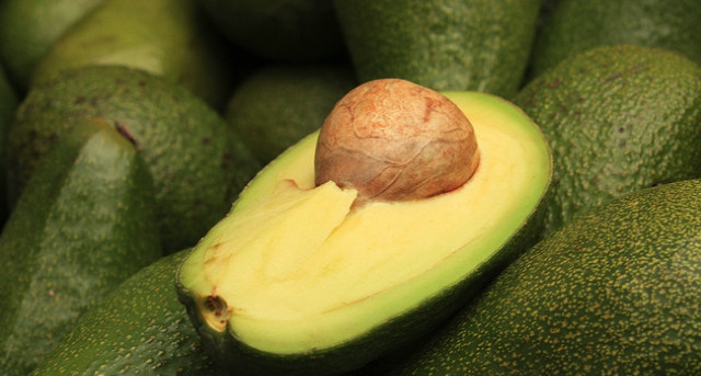 palta