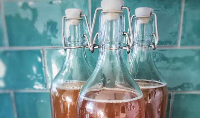 kombucha1